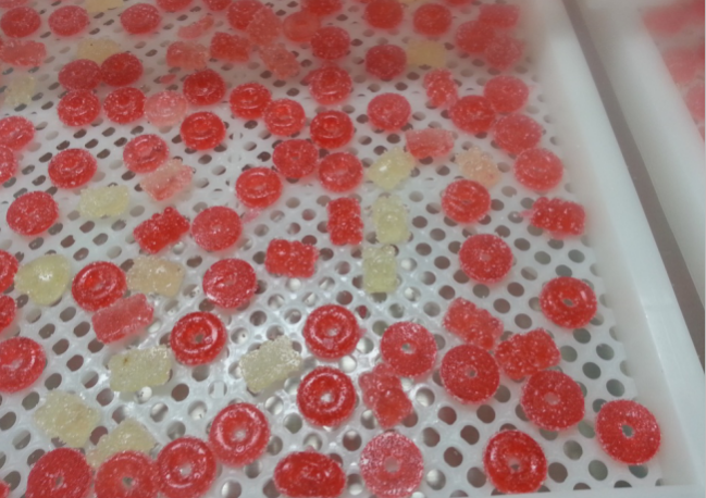 ເຄື່ອງຈັກ pectin ຂະໜາດນ້ອຍ (3)